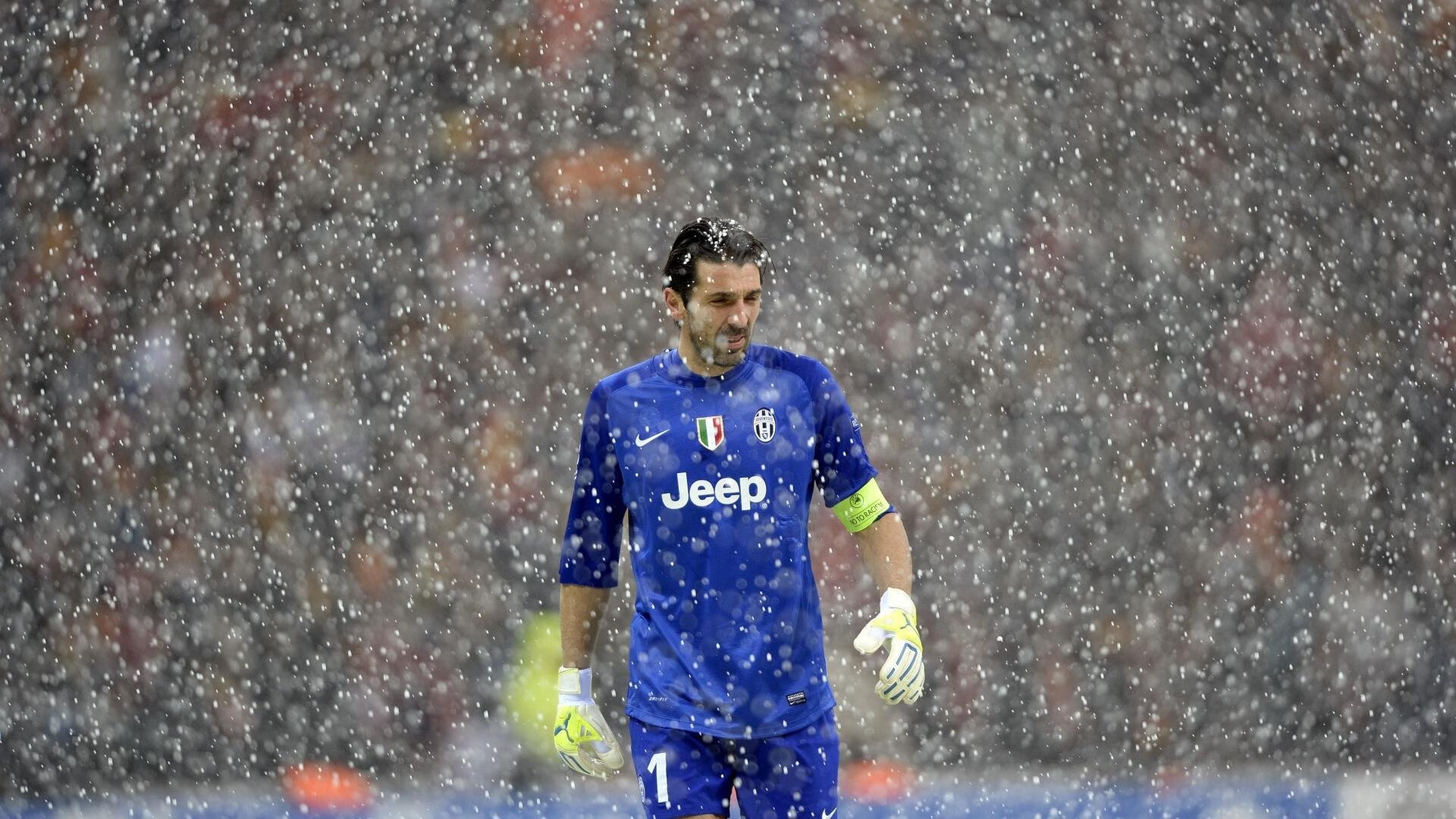 澳大利亚袋鼠队的精确进攻与快速反击形成完美组合，你知不知道澳大利亚的袋鼠打人 你知在乎你自己